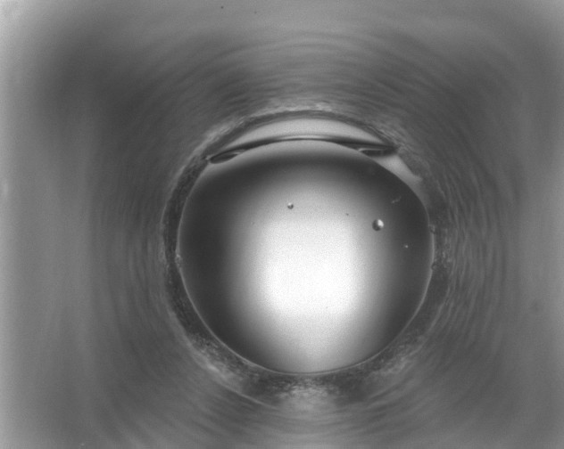 X0000067530256200604150233