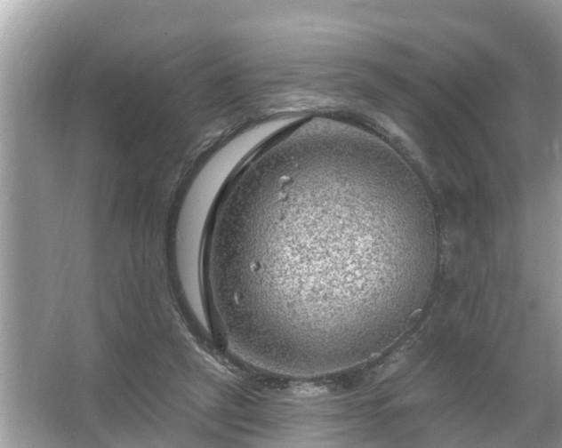 X0000067530257200604150233