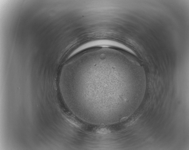 X0000067530258200604150233