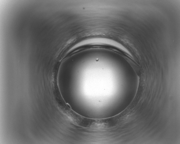 X0000067530260200604150233