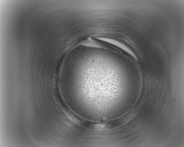 X0000067530265200604150233