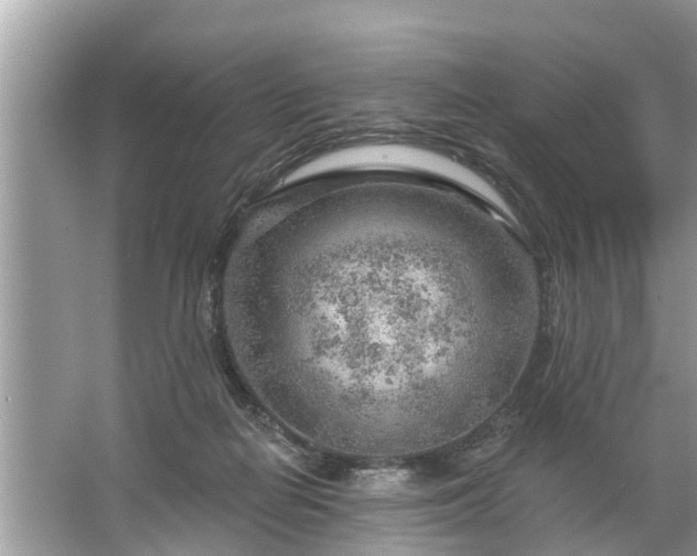 X0000067530266200604150233