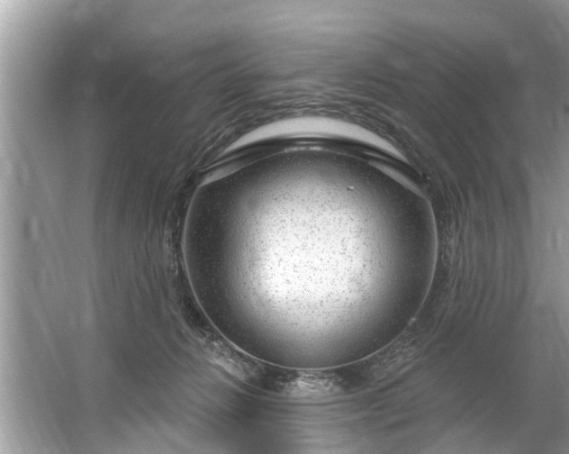 X0000067530270200604150233