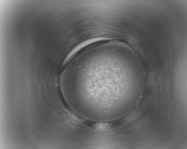 X0000067530273200604150233