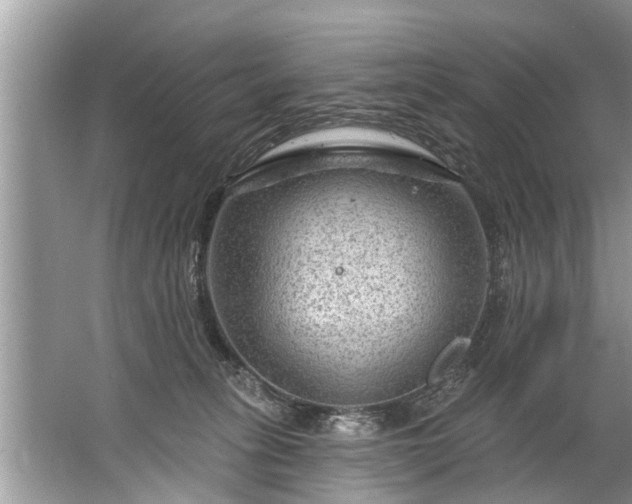 X0000067530275200604150233