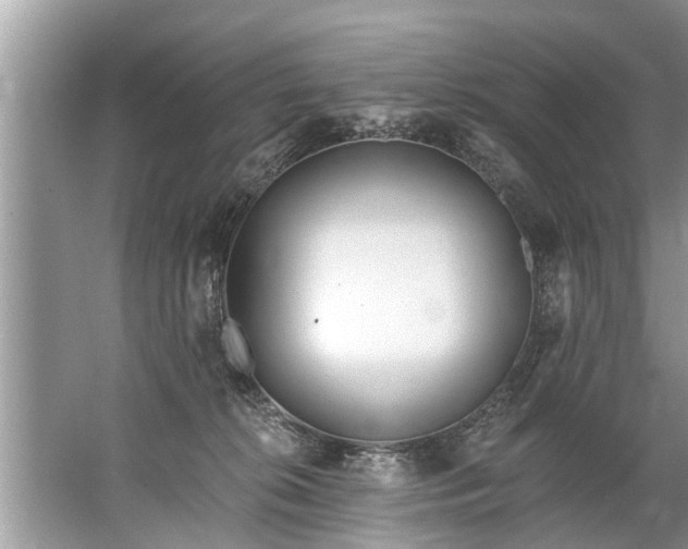 X0000067530276200604150233