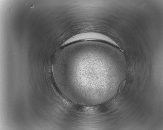 X0000067530277200604150233