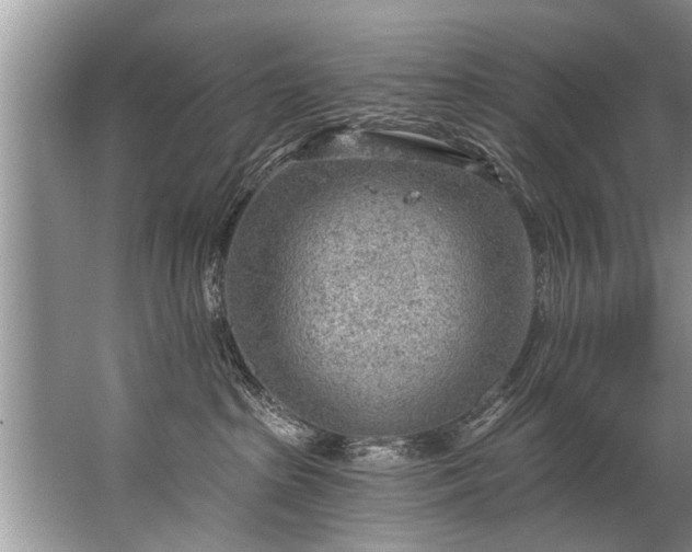 X0000067530285200604150233