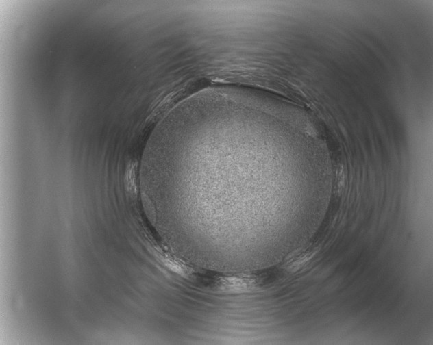 X0000067530286200604150233