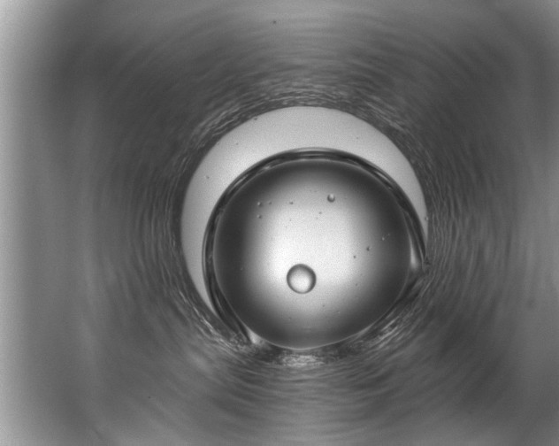 X0000067530287200604150233