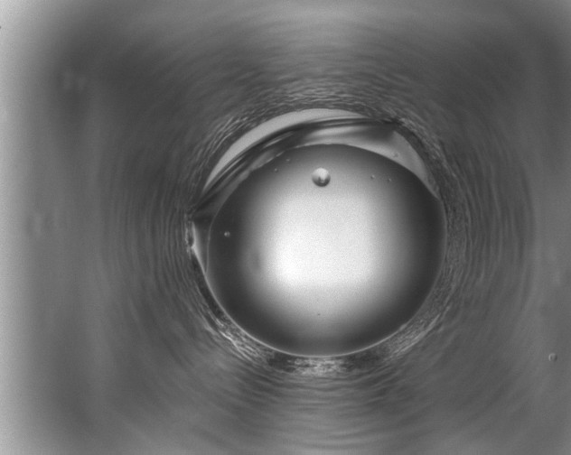 X0000067530288200604150233