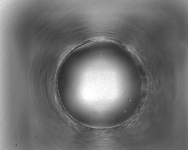 X0000067530289200604150233