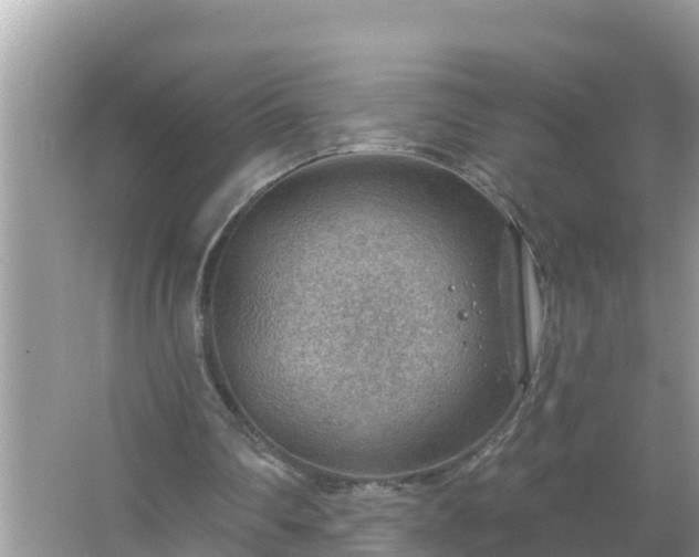 X0000067530290200604150233