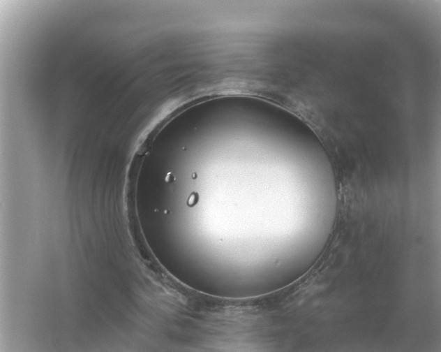 X0000067530292200604150233