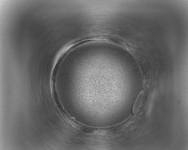 X0000067530294200604150232