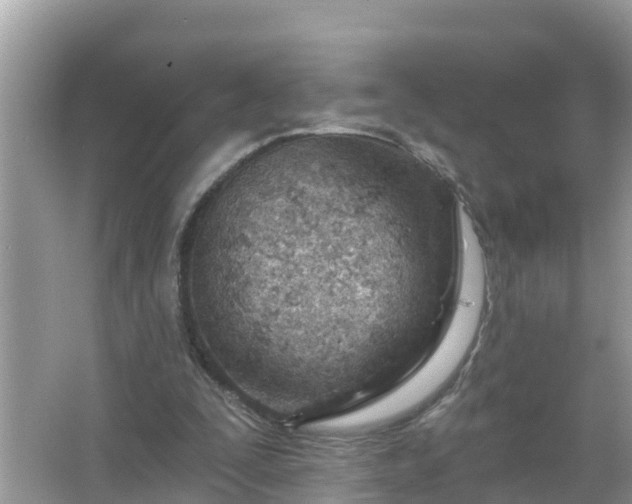 X0000067530295200604150232