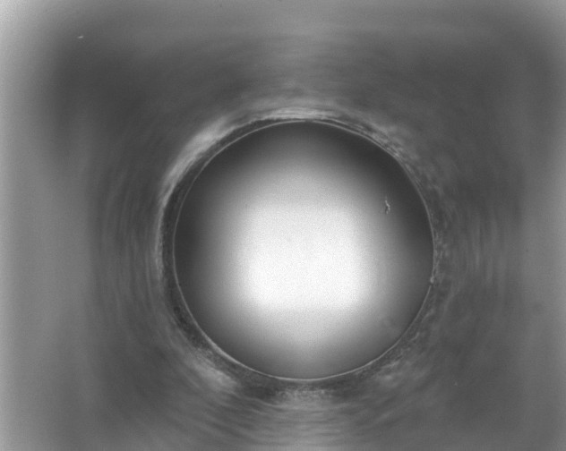 X0000067530296200604150232