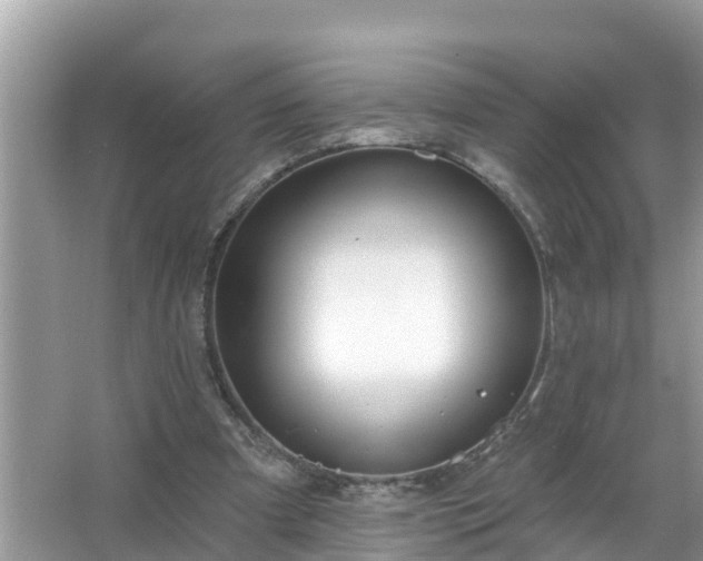 X0000067530297200604150232