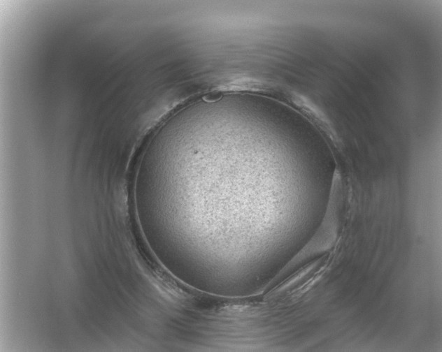 X0000067530298200604150232