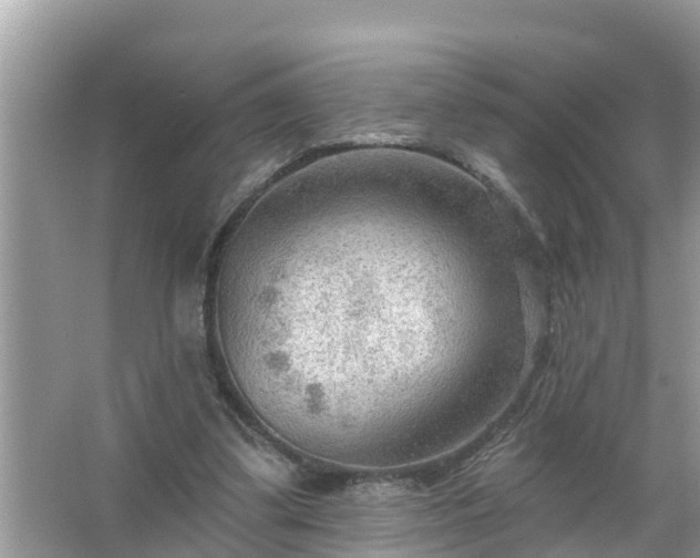 X0000067530299200604150232