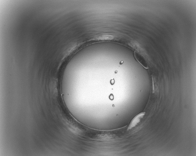 X0000067530300200604150232