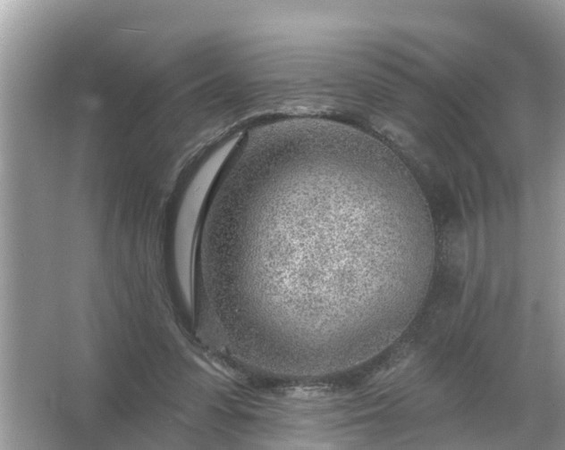 X0000067530303200604150232