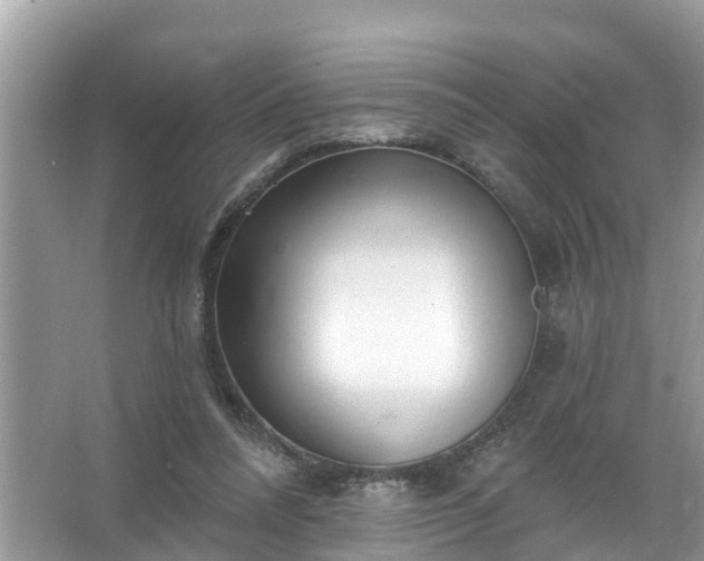 X0000067530304200604150232