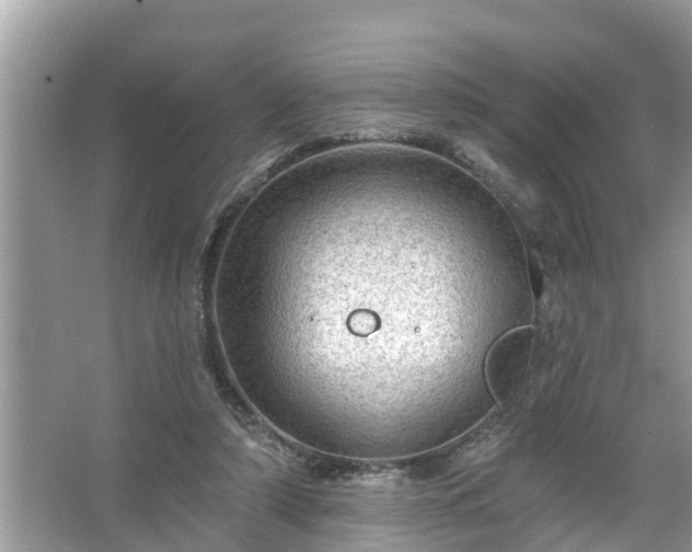 X0000067530306200604150232