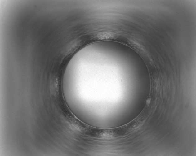 X0000067530308200604150232