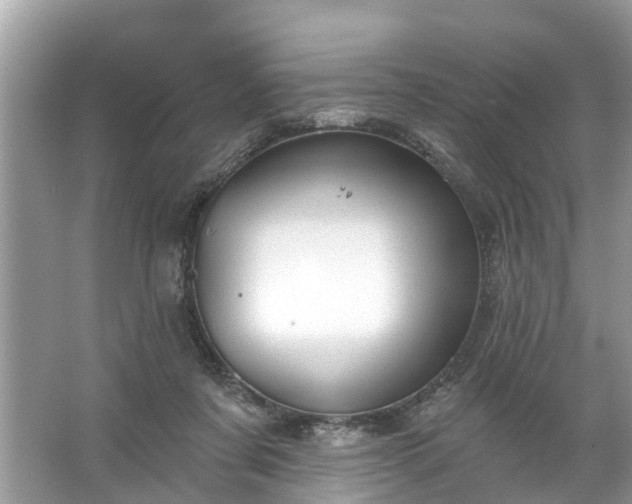 X0000067530311200604150232