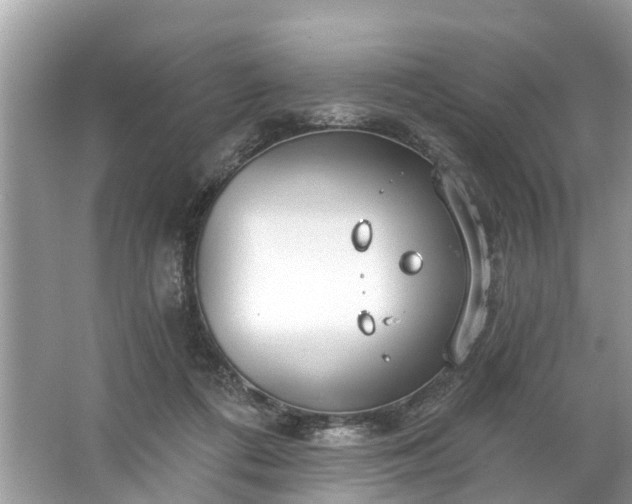 X0000067530312200604150232