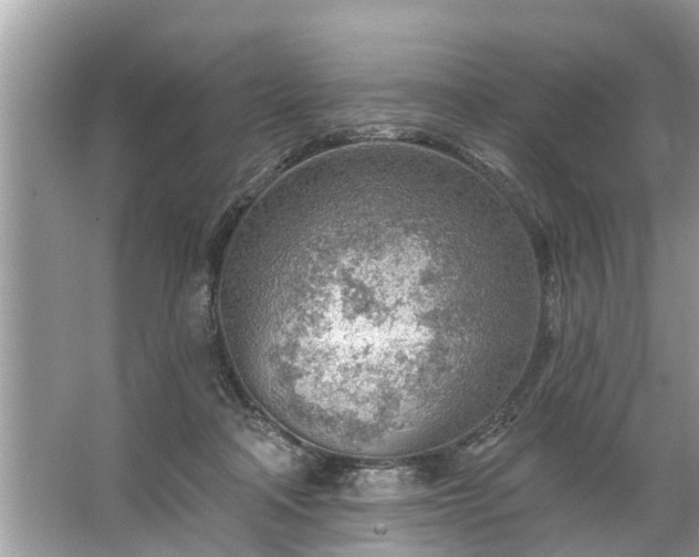 X0000067530314200604150232