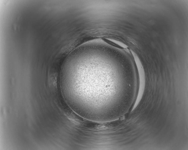 X0000067530315200604150232