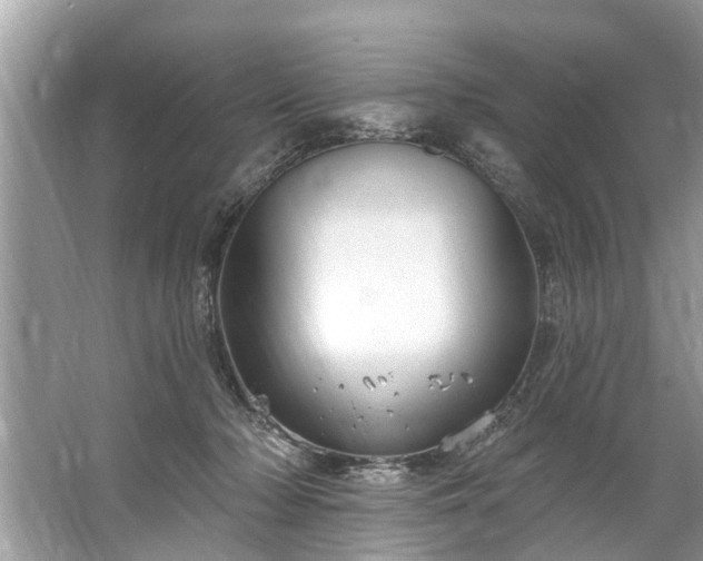 X0000067530318200604150232