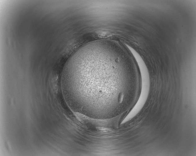 X0000067530319200604150232