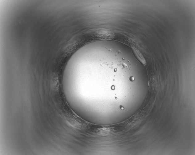 X0000067530320200604150232