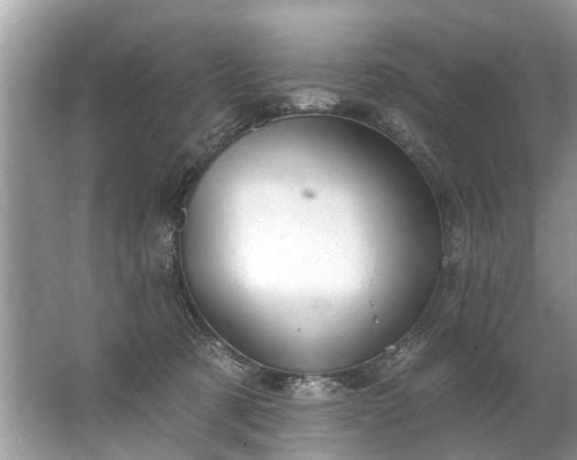 X0000067530321200604150232