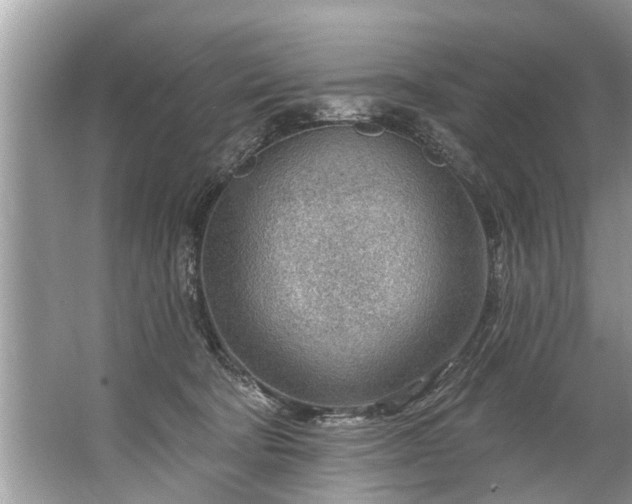 X0000067530322200604150232