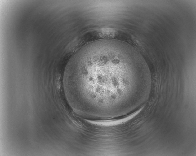 X0000067530323200604150232