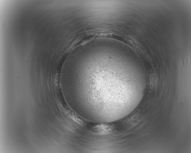 X0000067530326200604150232