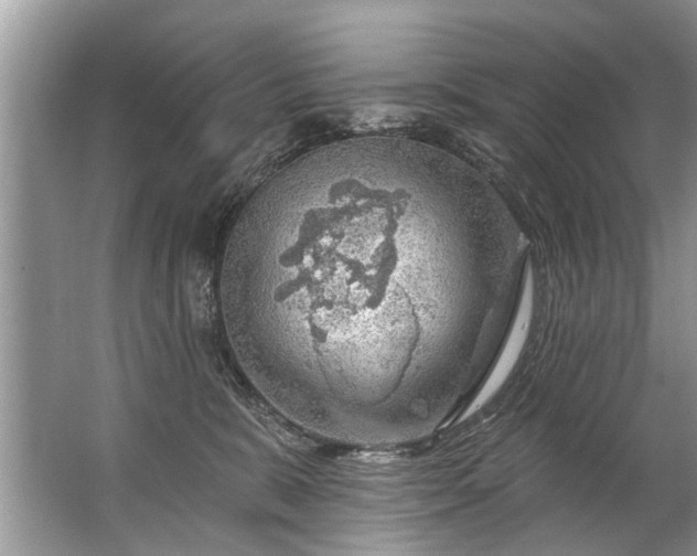 X0000067530327200604150232