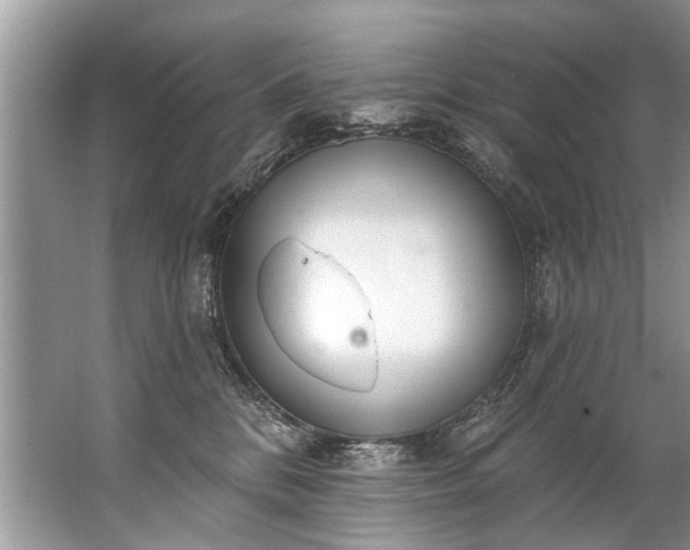 X0000067530328200604150232