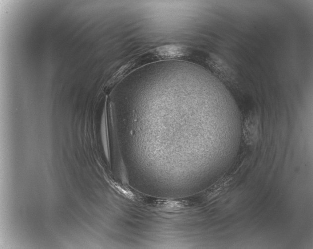 X0000067530330200604150232