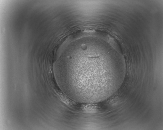 X0000067530331200604150232