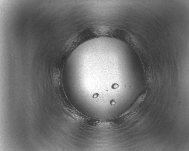 X0000067530332200604150232