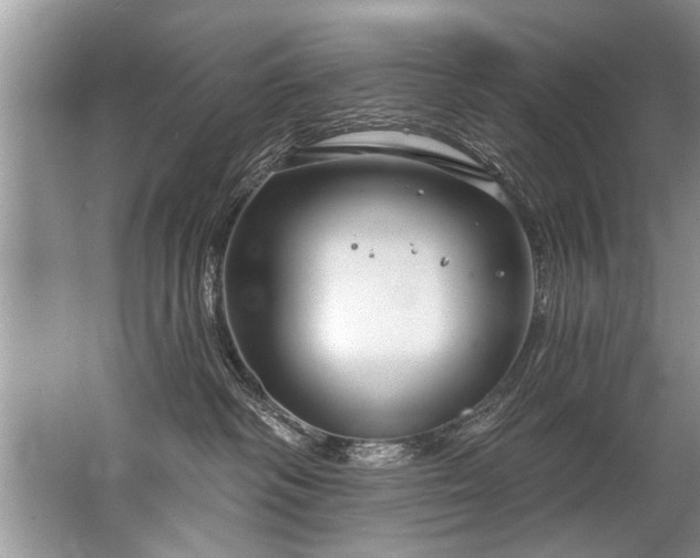 X0000067530334200604150232