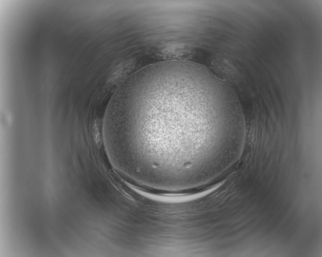 X0000067530335200604150232