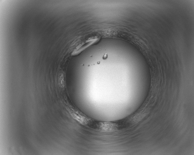 X0000067530336200604150232