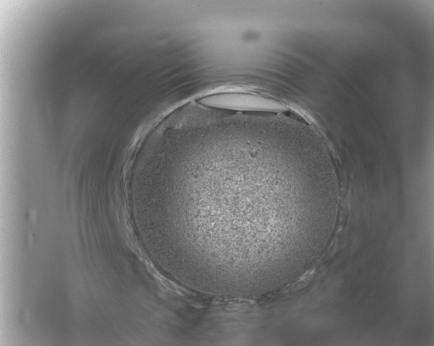 X0000067530337200604150231