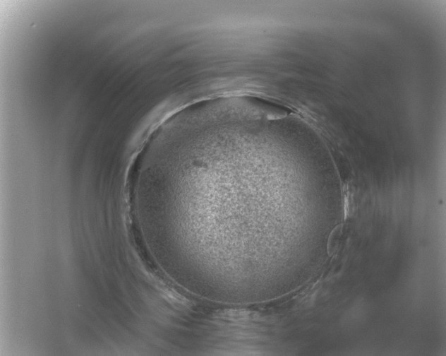 X0000067530339200604150231